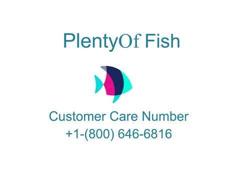big fish customer support|fish customer service training.